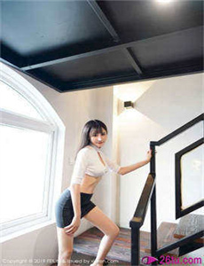 红胸知更鸟