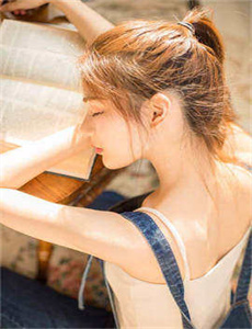 捕蝇纸